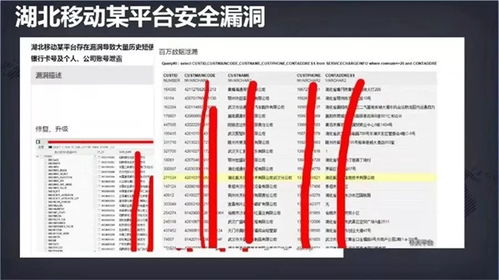 守護數字身份 網絡安全周下，應對個人信息泄露與安全軟件的選擇之道